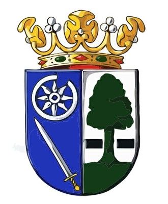 Gemeentewapen Heerenveen